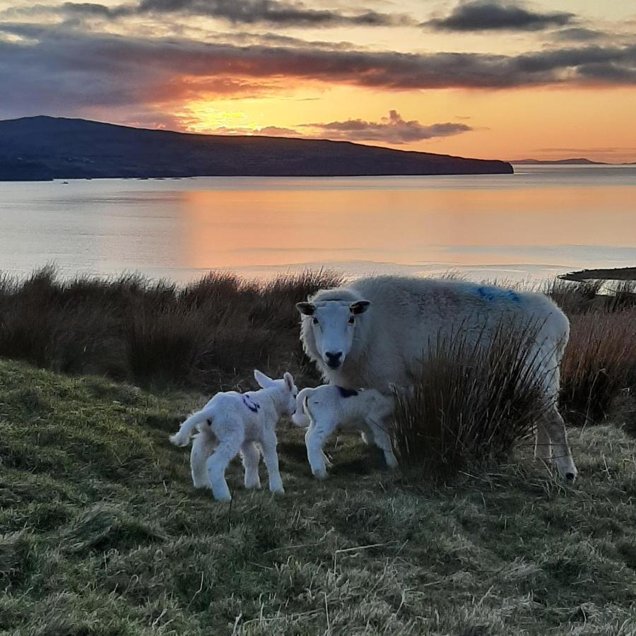 Lampay Chalets Dunvegan  Luaran gambar